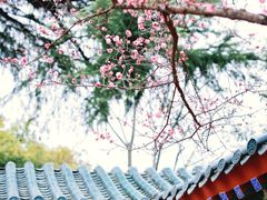 -月湖风景区