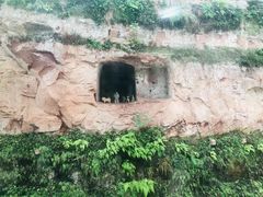 -乐山市博物馆