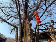 -红螺寺