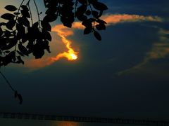 -宝安西湾红树林湿地公园