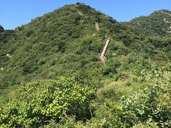 -大岭沟猕猴桃谷风景区