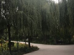-关东文化园