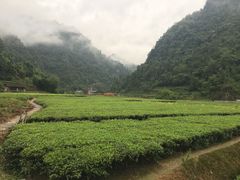 -咸丰县唐崖河景区