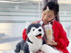 -星多哈·狗咖·拼豆·咖啡