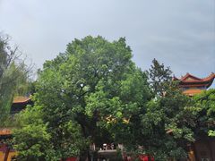 -宝通禅寺