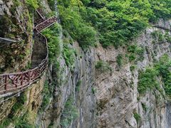 -鹿院坪生态旅游景区