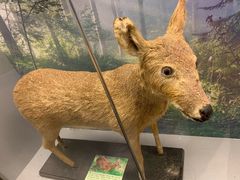 -下渚湖国家湿地公园科普馆