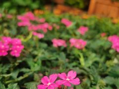 -郑州方特梦幻王国