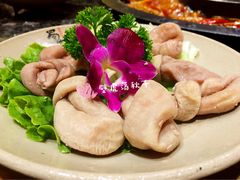 肥肠结子-蜀大侠火锅(建设路第五大道店)