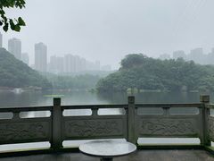 -重庆彩云湖湿地公园