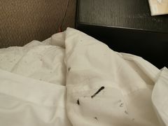 -北京九华山庄会展酒店