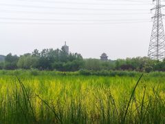 -永定河休闲森林公园