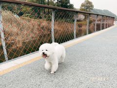 -南昌青山湖风景区