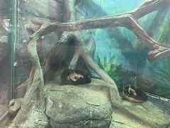 -福州罗源湾海洋世界旅游区