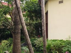 -小榄人家酒楼(民安店)