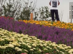 -上海浦江郊野公园-2号停车场