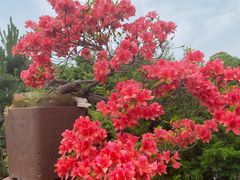 -万景茶庄·台州菜