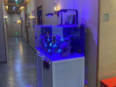 -网鱼网咖·电竞(中山友好广场店)