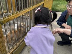 -青岛鑫江温德姆酒店