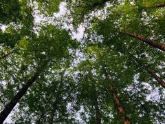 -杭州张苍水先生祠