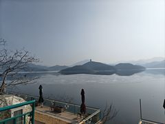 -望湖烤鱼