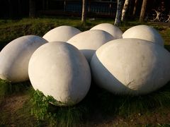 -峡谷浮石林景区