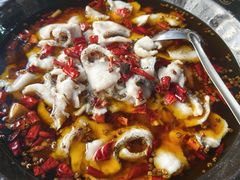 -金三可市井水煮鱼(金碧园店)