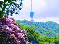 -梧桐山风景名胜区