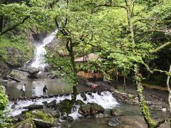 -石台牯牛降景区