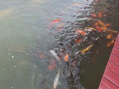 -热带风暴水上乐园