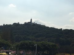 -苏州上方山国家森林公园