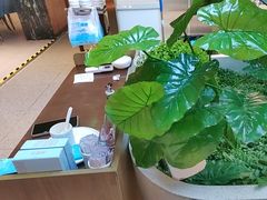 -悦海·家宴·冰花皮皮虾大锅贴(宝龙店)
