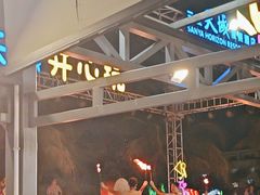 -渔家火锅·海鲜自助餐·演艺(亚龙湾天域酒店)
