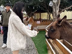 -HERRE·FARM 赫尔露营农场·团建聚会包场