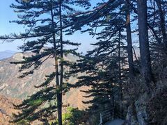 -罗田天堂寨风景区