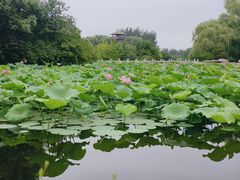 -石家庄市动物园