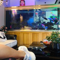 -雕哥的纹身店A3 TATTOO&纹身培训