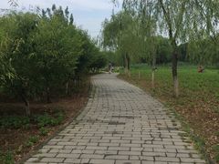 -永定河休闲森林公园