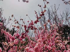-南海子公园