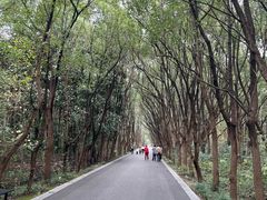 -同里国家湿地公园