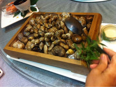 iphone_upload_pic-常州环球恐龙城维景国际大酒店