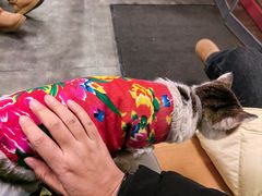 -徐记炭火铜锅手切鲜羊肉(塔湾直营店)