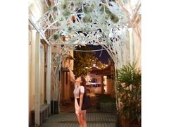 -槟城街头艺术街区