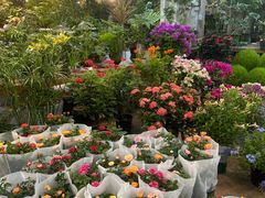 -双季花艺园艺市场(浦东店)