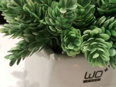 -赛百味(仙林金鹰店)