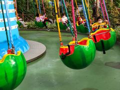 -南宫五洲植物乐园