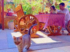 -鱼乐岛餐厅·户外花园主题餐厅