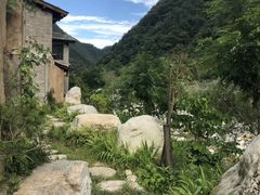 -终南山国家森林公园