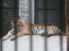 -广东茂名森林公园