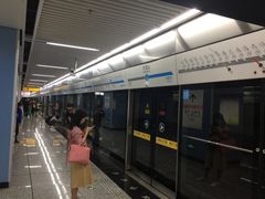 -大龙山(地铁站)